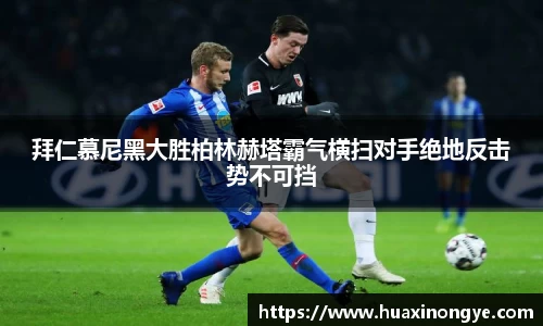 zoty中欧体育