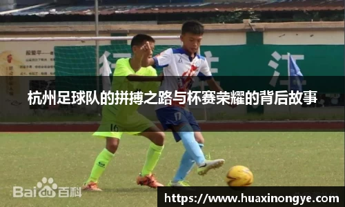 zoty中欧体育全站