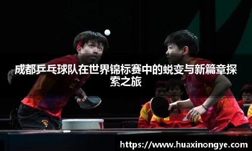 成都乒乓球队在世界锦标赛中的蜕变与新篇章探索之旅
