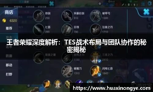中欧体育官方入口