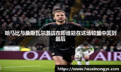 哈马比与桑斯瓦尔激战在即谁能在这场较量中笑到最后