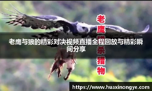中欧体育(zoty)·中国官方网站