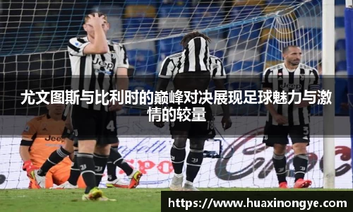 zoty中欧体育全站